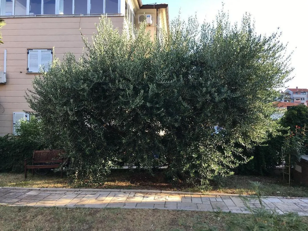 Apartments Bozena Porec 0*,  Croatia